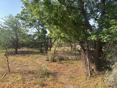 Image of 11900 Sq.ft Residential Plot / Land for sale in Mogra Khurd, Jodhpur for Rs. 9500000