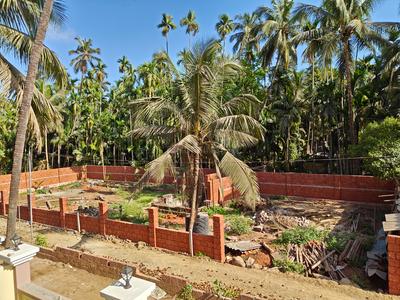 Chaul Plot View 2