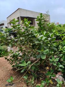 Image of 2400 Sq.ft Residential Plot / Land for sale in Smriti Nagar, Bhilai for Rs. 6960000