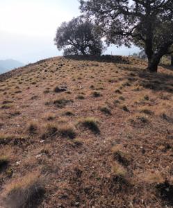 Image of 900 Sq.ft Residential Plot / Land for sale in Sunhil Rishigram, Lansdowne, Pauri Garhwal for Rs. 2000000