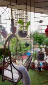 Balcony Image of 902 Sq.ft 2 BHK Apartment / Flat for sale in Vijay Yashraj Park, Koliwada Thane for Rs. 7999999