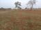 Raghunandan Park Phase I Plot View 2