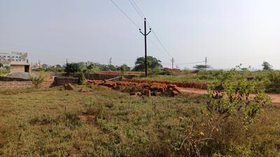 Patharagadia Plot View 2