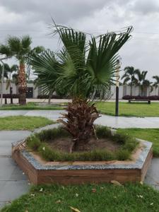 Image of 3600 Sq.ft Residential Plot / Land for sale in Bicholi Hapsi, Indore for Rs. 30600000