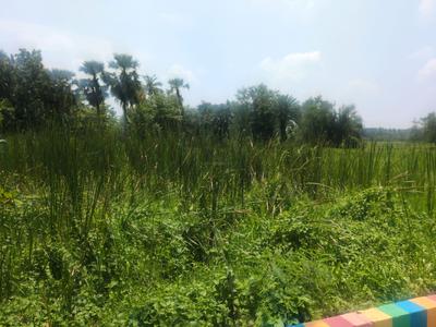 Residential Plot
