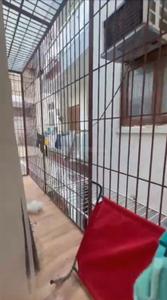 Balcony Image of 1200 Sq.ft 3 BHK Builder Floor for sale in Malviya Nagar New Delhi for Rs. 19900000