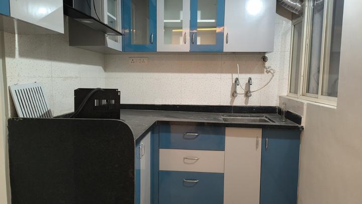 Shreepad Savitri Audumbar Main Image 1