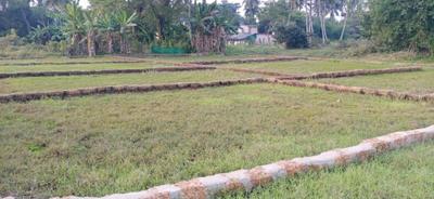 Dhaua Plot View 3