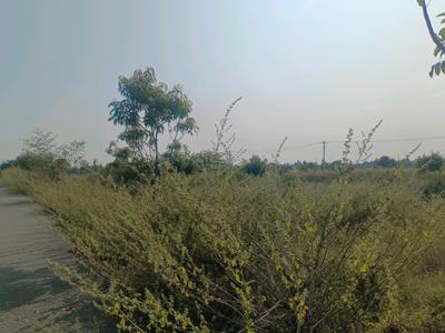 Image of 130 Sq.ft Residential Plot / Land for sale in Kompally, Hyderabad for Rs. 3400007