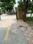 Vasna Main Image 1
