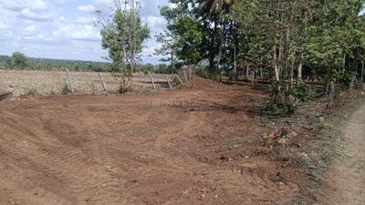 Image of 11454 Sq.ft Residential Plot / Land for sale in Hadjana, Mysore for Rs. 13000000