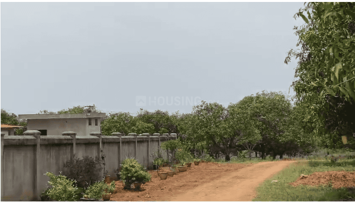 Bhogapuram Main Image 1
