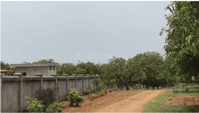 SRI MANGO RESORT Plot View 1