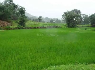 Image of 1089 Sq.ft Residential Plot / Land for sale in Mothijui, Navi Mumbai for Rs. 298000