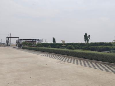 Residential Plot