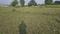 Prem Nagar Plot View 2