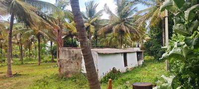 Image of 139392 Sq.ft Residential Plot / Land for sale in Nanjangud, Mysore for Rs. 35000000