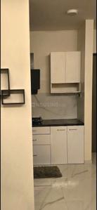 Kitchen Image of 450 Sq.ft 1 BHK Apartment / Flat for rent in Nahar Amaryllis Towers And Plaza, Powai Mumbai for Rs. 67000