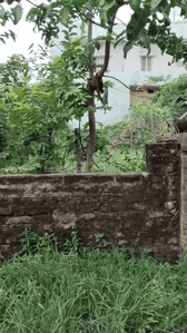 Image of 435 Sq.ft Residential Plot / Land for sale in Pandra, Ranchi for Rs. 2100000