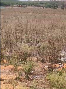 Image of 140000 Sq.ft Residential Plot / Land for sale in Chintamani, Chikballapur District for Rs. 85000000