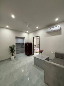 Hall Image of 830 Sq.ft 1 BHK Builder Floor for rent in Bhai Randhir Singh Nagar Ludhiana for Rs. 17000