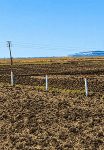 Pale Plot View 2