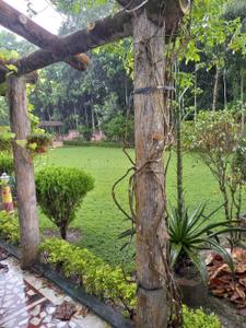 Image of 15000 Sq.ft 6 BHK Villa for sale in Barasat, Kolkata for Rs. 40000000