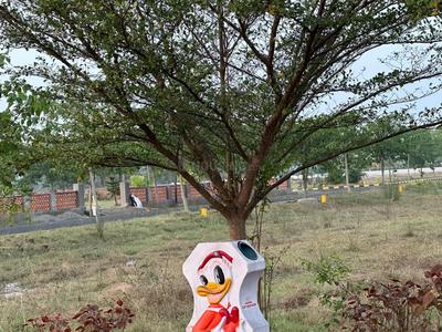 Image of 1800 Sq.ft Residential Plot / Land for sale in Sri Rajeswari Dwaraka, Bhogapuram, Visakhapatnam for Rs. 3600000