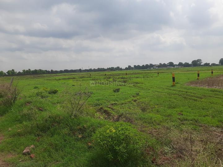 Danapur Nizamat, Danapur - Khagaul Road Main Image 1