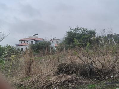 Image of 969 Sq.ft Residential Plot / Land for sale in Tejaji Nagar, Indore for Rs. 2927349