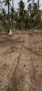 Image of 15681 Sq.ft Residential Plot / Land for sale in Kinathukadavu, Coimbatore for Rs. 9000000