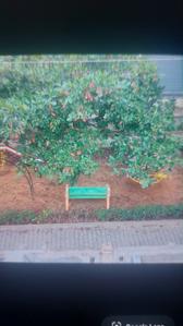 Image of 500 Sq.ft 1 BHK Apartment / Flat for rent in Sai Prasanthi Homes Phase 2, Jigani, Bengaluru for Rs. 8499