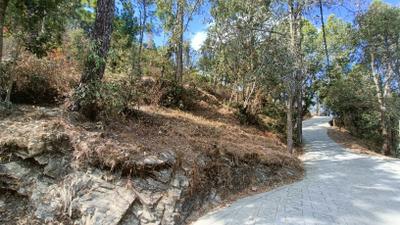 Image of 2160 Sq.ft Residential Plot / Land for sale in Mukteshwar, Nainital for Rs. 2500000