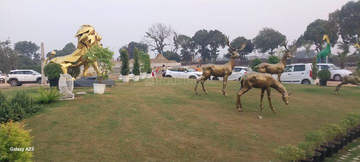 SRSD Forest Walk Phase 1 Main Image 1