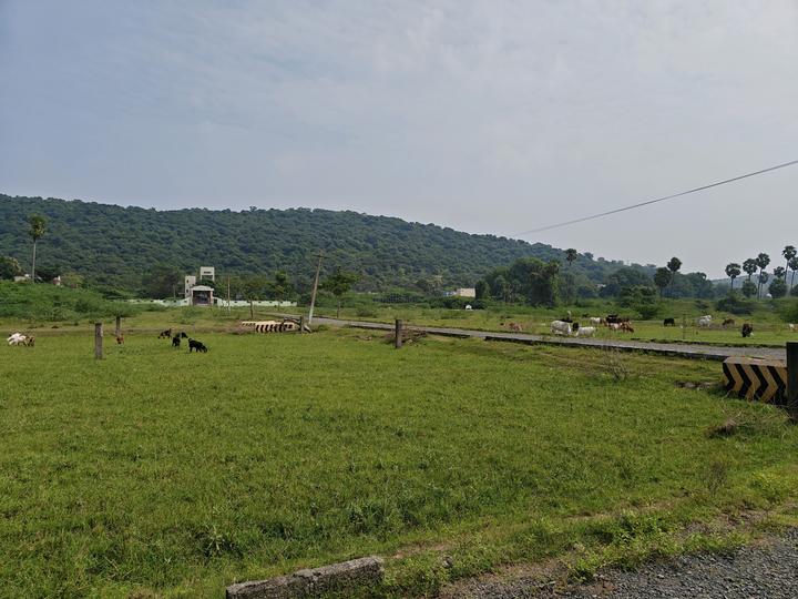 Singaperumal Koil Main Image 1