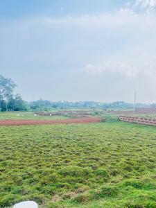 Image of 1420 Sq.ft Residential Plot / Land for sale in Panchagaon, Bhubaneswar for Rs. 1917000