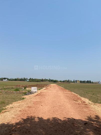 Phulnakhara Main Image 1