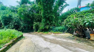 Sinola Plot View 3