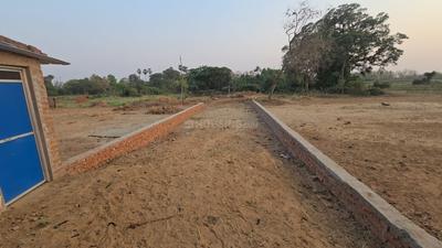 Bihta Plot View 2
