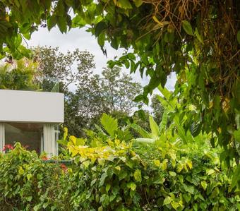 Image of 1000 Sq.ft 2 BHK Apartment / Flat for sale in Assagao, Goa for Rs. 27000000