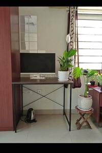 Balcony Image of 1900 Sq.ft 3 BHK Apartment / Flat for rent in Banjara Hills Hyderabad for Rs. 35000