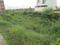 BPTP Astaire Garden Plots Main Image 1