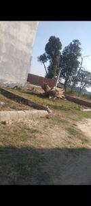 Image of 1000 Sq.ft Residential Plot / Land for sale in Aqama ABD Estate, Bakshi Ka Talab, Lucknow for Rs. 1400000