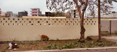 Image of 100 Sq.ft Residential Plot / Land for sale in Sector 41, Noida for Rs. 32500000