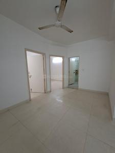 Hall Image of 780 Sq.ft 2 BHK Independent House for rent in Star Apartment, Chhattarpur New Delhi for Rs. 22000