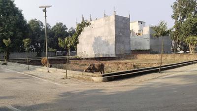 Image of 1000 Sq.ft Residential Plot / Land for sale in Krishna Nagar, Lucknow for Rs. 2350000