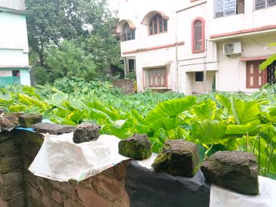 Behala Mauza Plot View 2