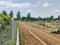 Gauribidanur Plot View 2