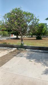 Image of 2489 Sq.ft Residential Plot / Land for sale in Bakrol, Anand for Rs. 5600250
