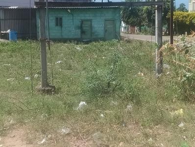 Image of 4243 Sq.ft Residential Plot / Land for sale in Suleeswaranpatti, Pollachi for Rs. 8766000